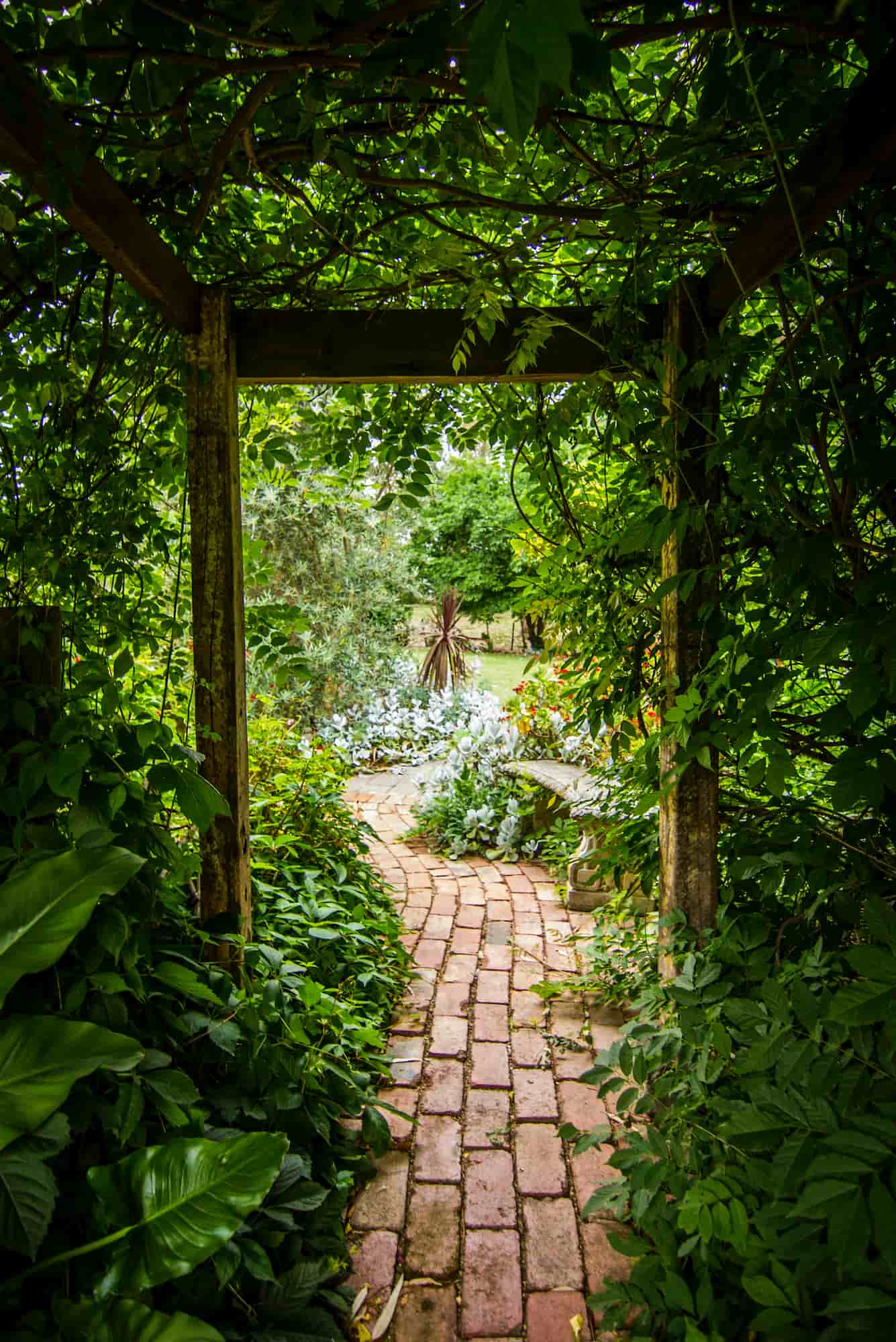 The Garden of Solace