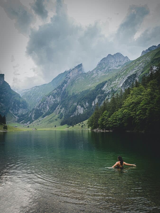 Into the Wild