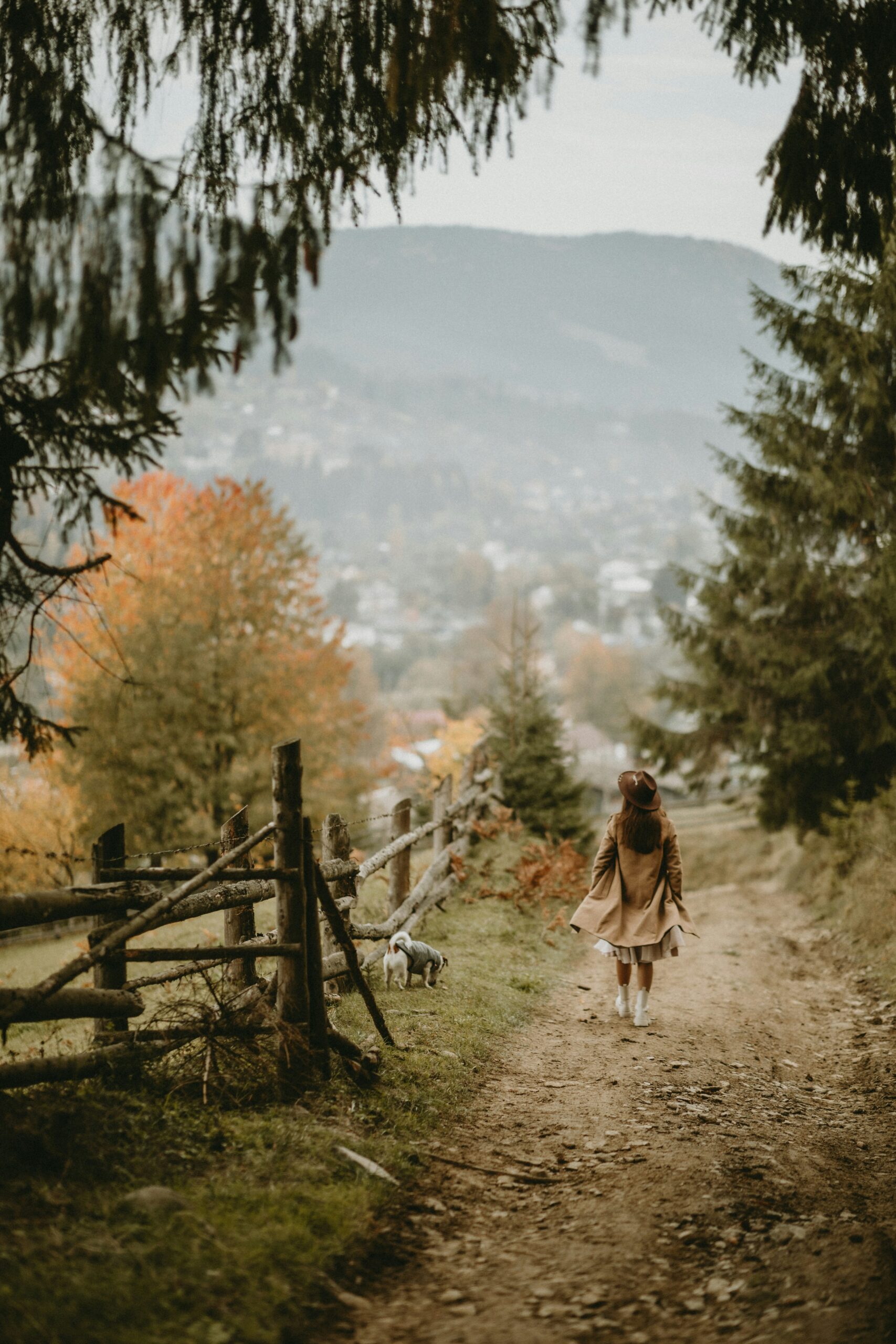 Where Autumn Takes You