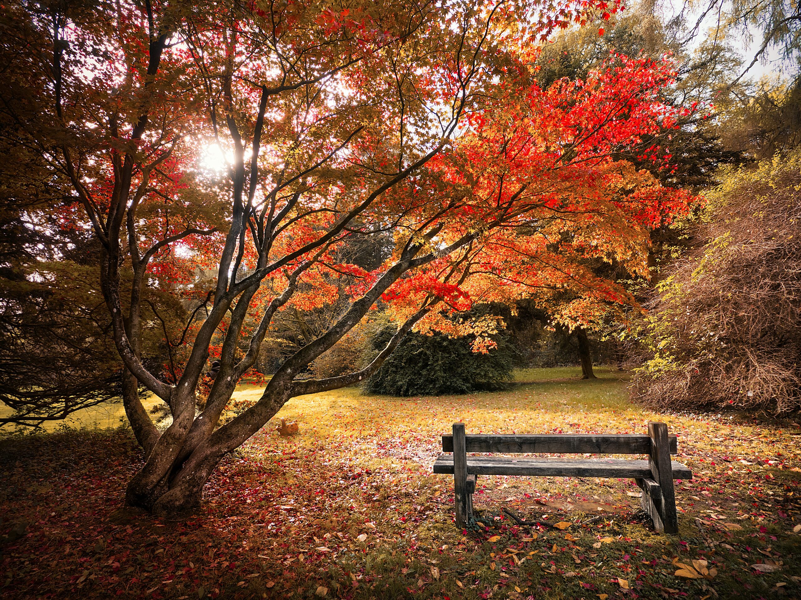 Where Autumn Takes You