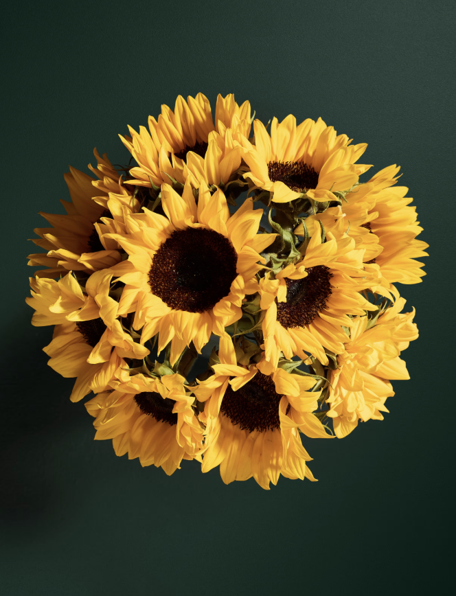Bouquet of Sunflowers